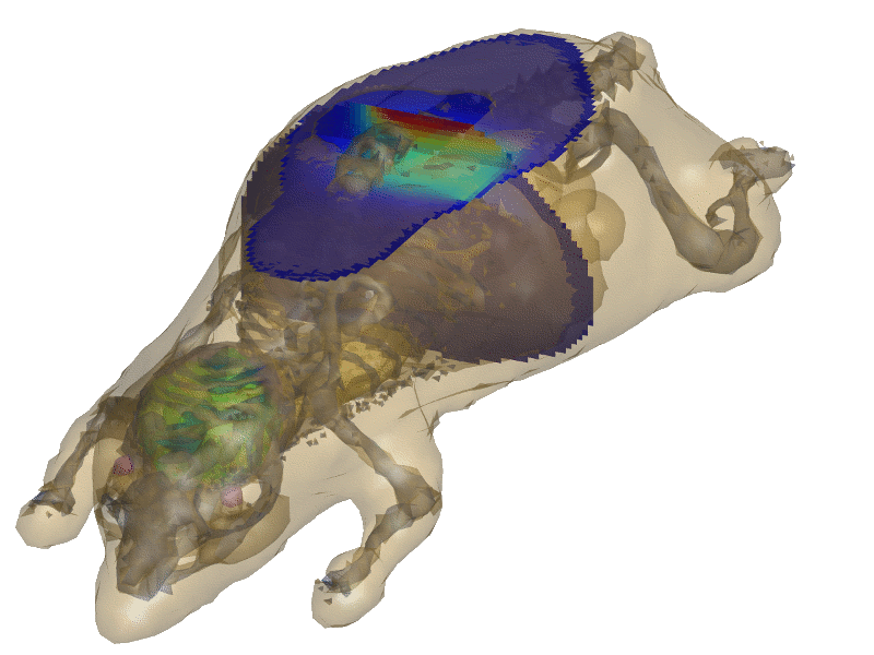 Digimouse photon simulations